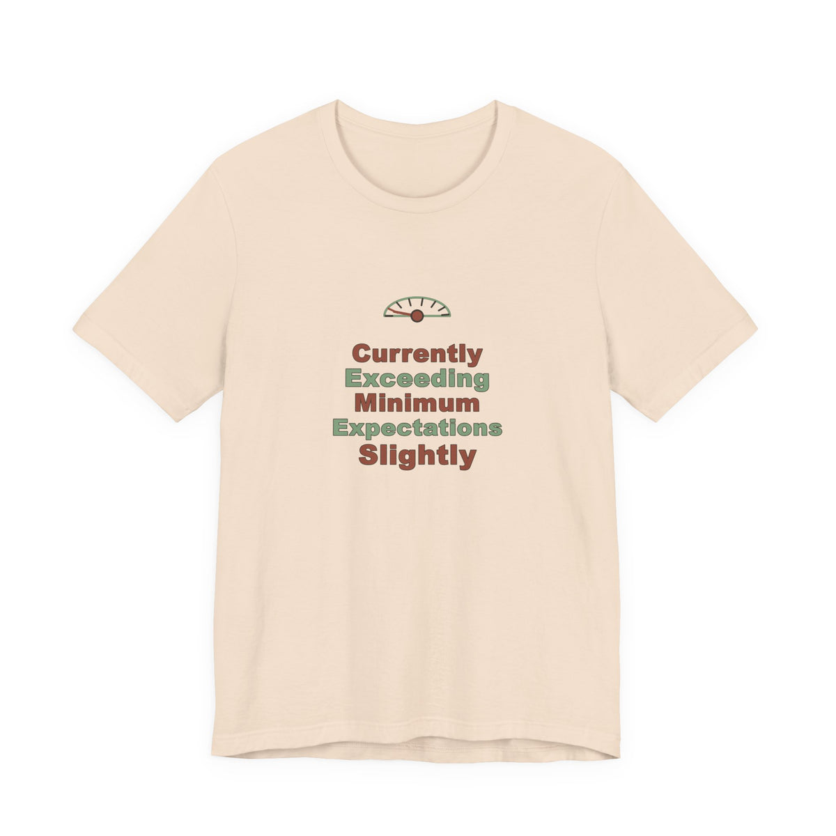 Minimum Expectations Vintage Shirt
