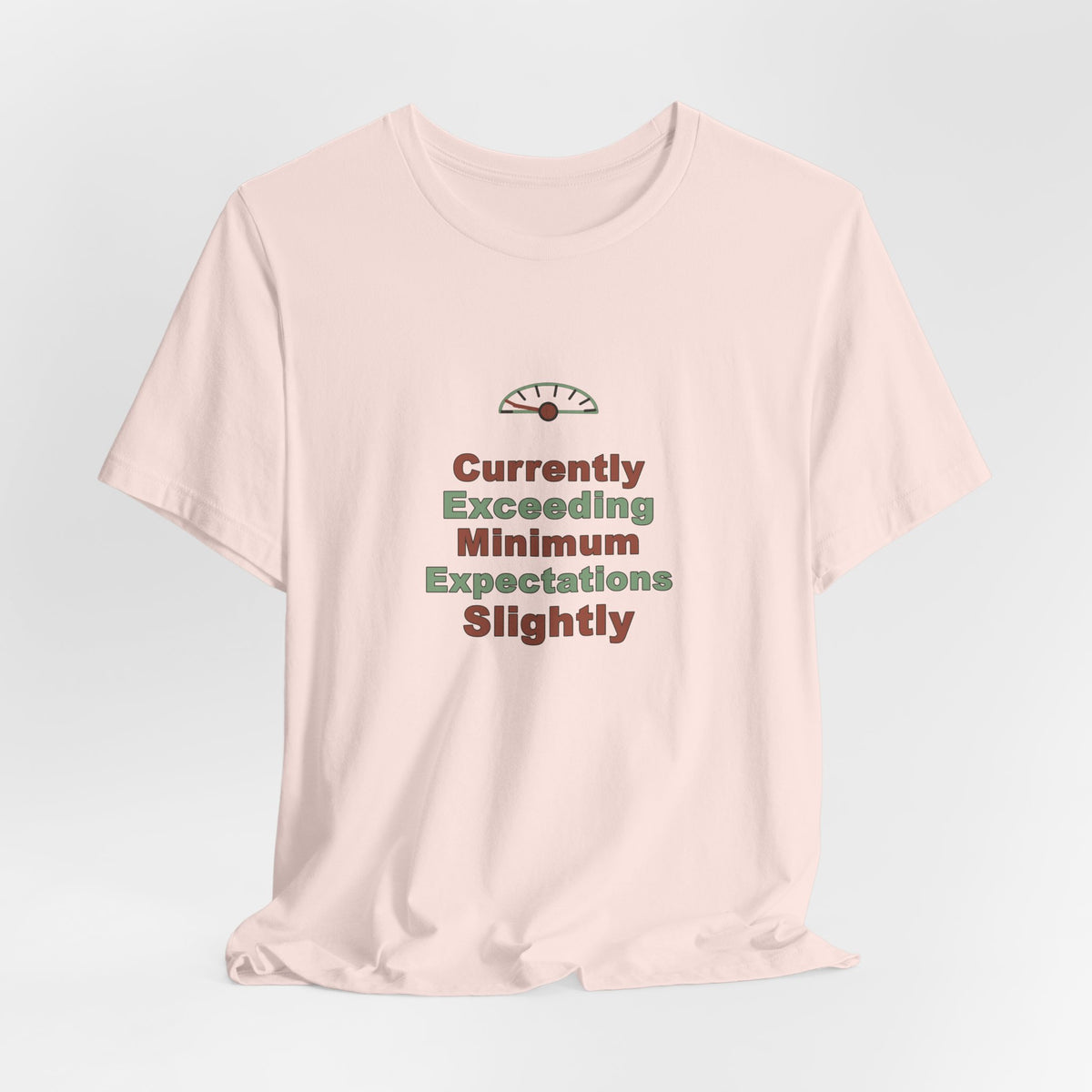 Minimum Expectations Vintage Shirt