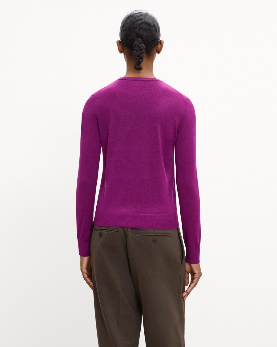 Crewneck Sweater in Regal Wool