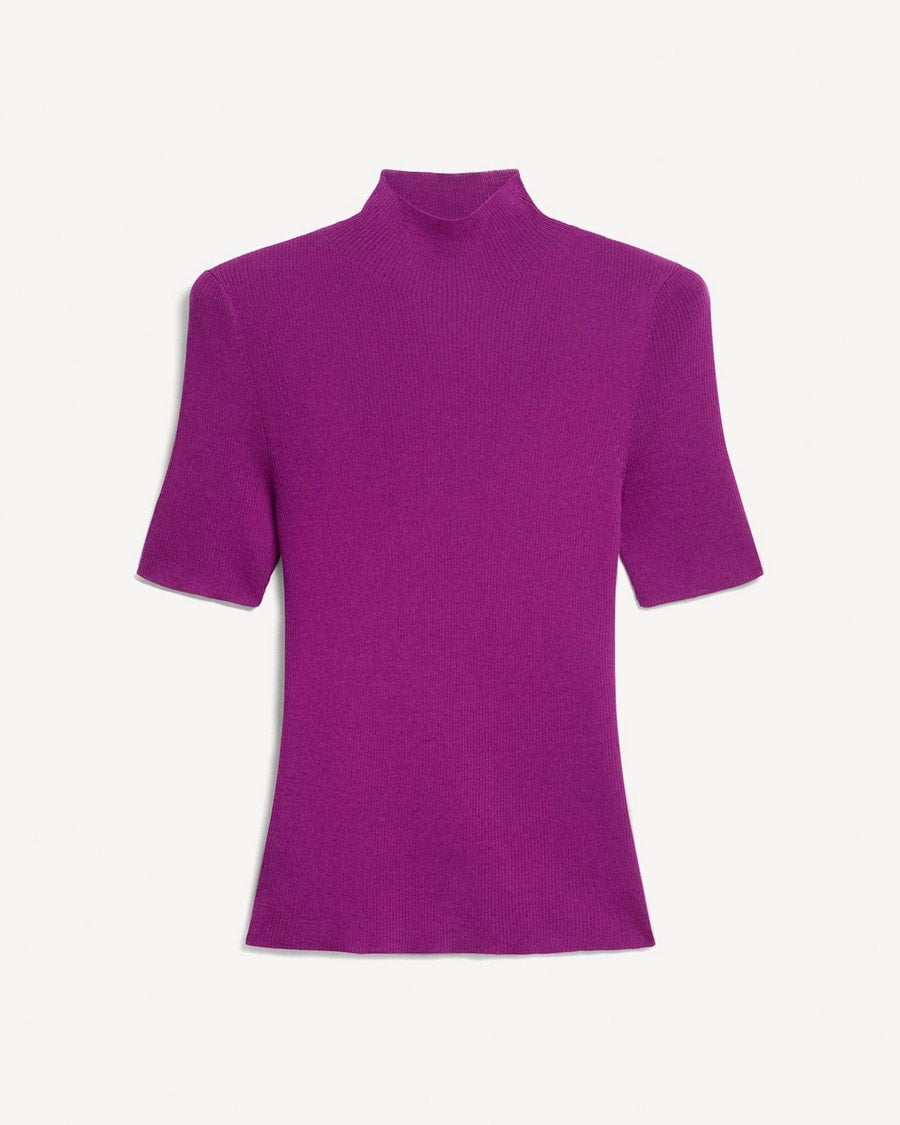 Leenda Mock Neck Sweater in Regal Wool
