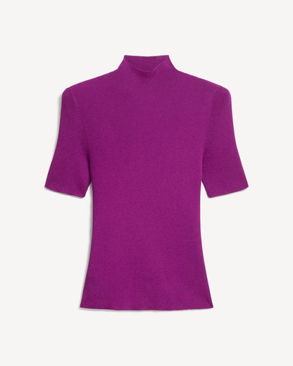 Leenda Mock Neck Sweater in Regal Wool