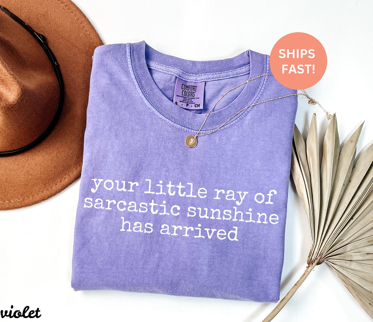 May include: A violet Comfort Colors t-shirt with the text "your little ray of sarcastic sunshine has arrived" in white. A gold necklace and a brown hat are also visible.