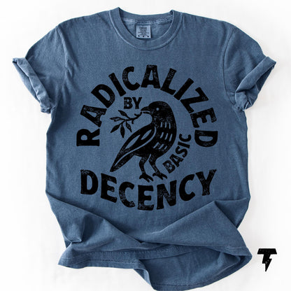 Radicalized By Basic Decency Comfort Colors T-shirt, Activist Tee Denim
