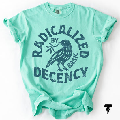 Radicalized By Basic Decency Comfort Colors T-shirt, Activist Tee Island Reef