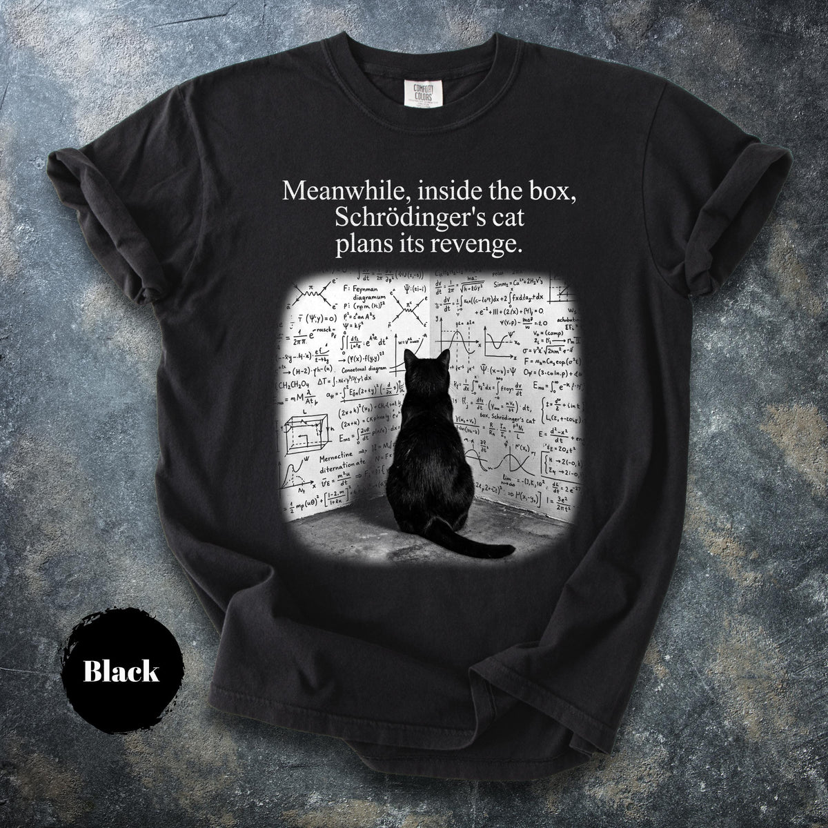 May include: A black short-sleeved t-shirt featuring a graphic of a black cat sitting in a corner facing a wall covered in complex physics equations and diagrams. The text above the graphic reads, "Meanwhile, inside the box, Schrödinger's cat plans its revenge."