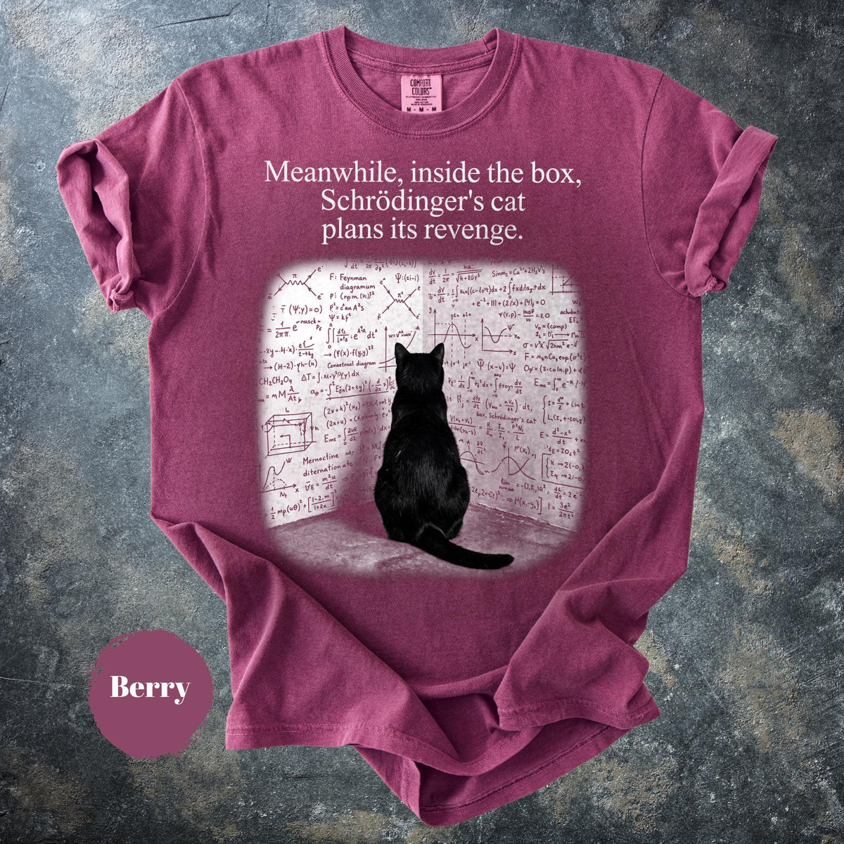 May include: A berry-colored t-shirt featuring the text "Meanwhile, inside the box, Schrödinger's cat plans its revenge." Below the text is a graphic of a black cat sitting and facing a wall covered in complex mathematical equations and diagrams.
