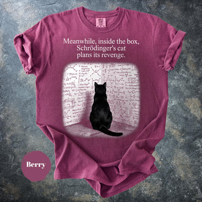 May include: A berry-colored t-shirt featuring the text "Meanwhile, inside the box, Schrödinger's cat plans its revenge." Below the text is a graphic of a black cat sitting and facing a wall covered in complex mathematical equations and diagrams.