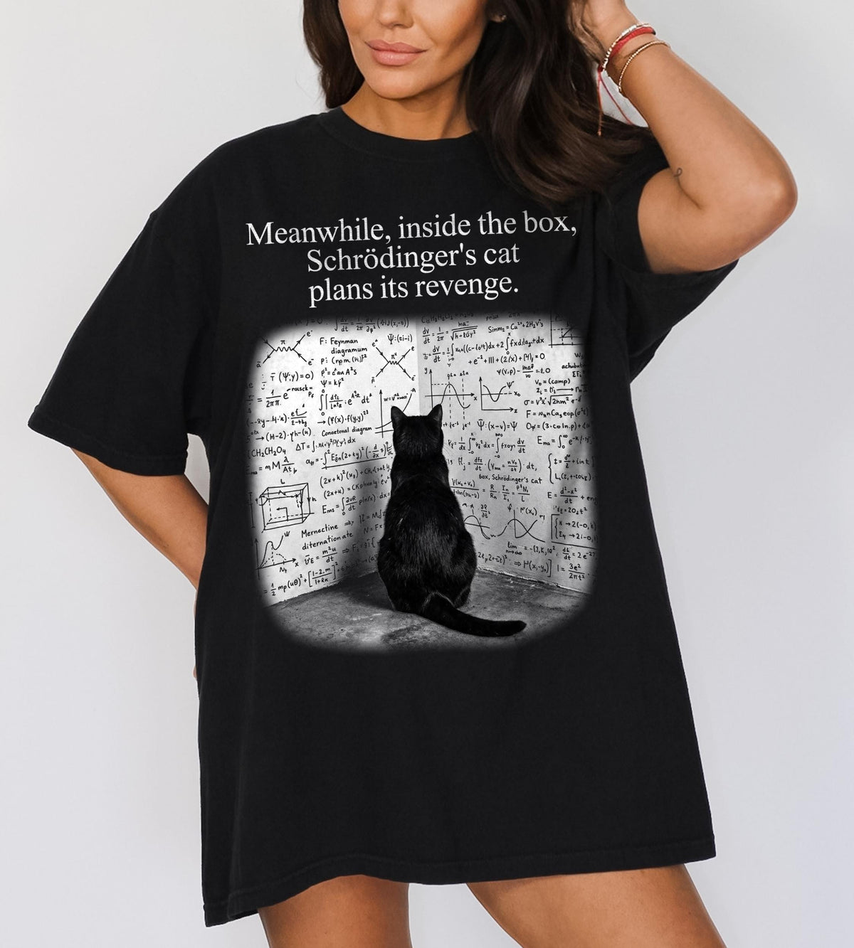 May include: A black t-shirt featuring the white text "Meanwhile, inside the box, Schrödinger's cat plans its revenge." Below the text is a graphic of a black cat sitting in a corner facing a wall covered in complex mathematical equations and diagrams.