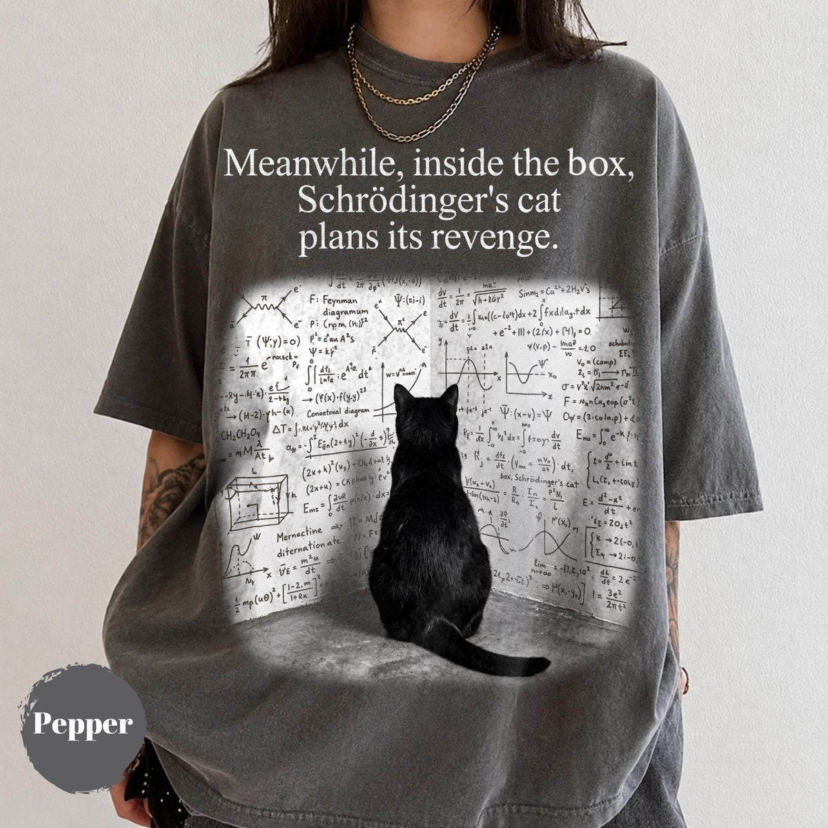 May include: A charcoal gray short-sleeve t-shirt featuring a black cat sitting in front of a wall covered in complex physics equations and the text, "Meanwhile, inside the box, Schrödinger's cat plans its revenge." The shirt has a crew neckline.