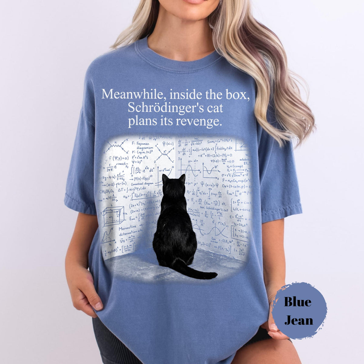 May include: A blue crew neck t-shirt featuring the white text "Meanwhile, inside the box, Schrödinger's cat plans its revenge." Below the text is a graphic of a black cat sitting in front of a wall covered in complex physics equations and diagrams.