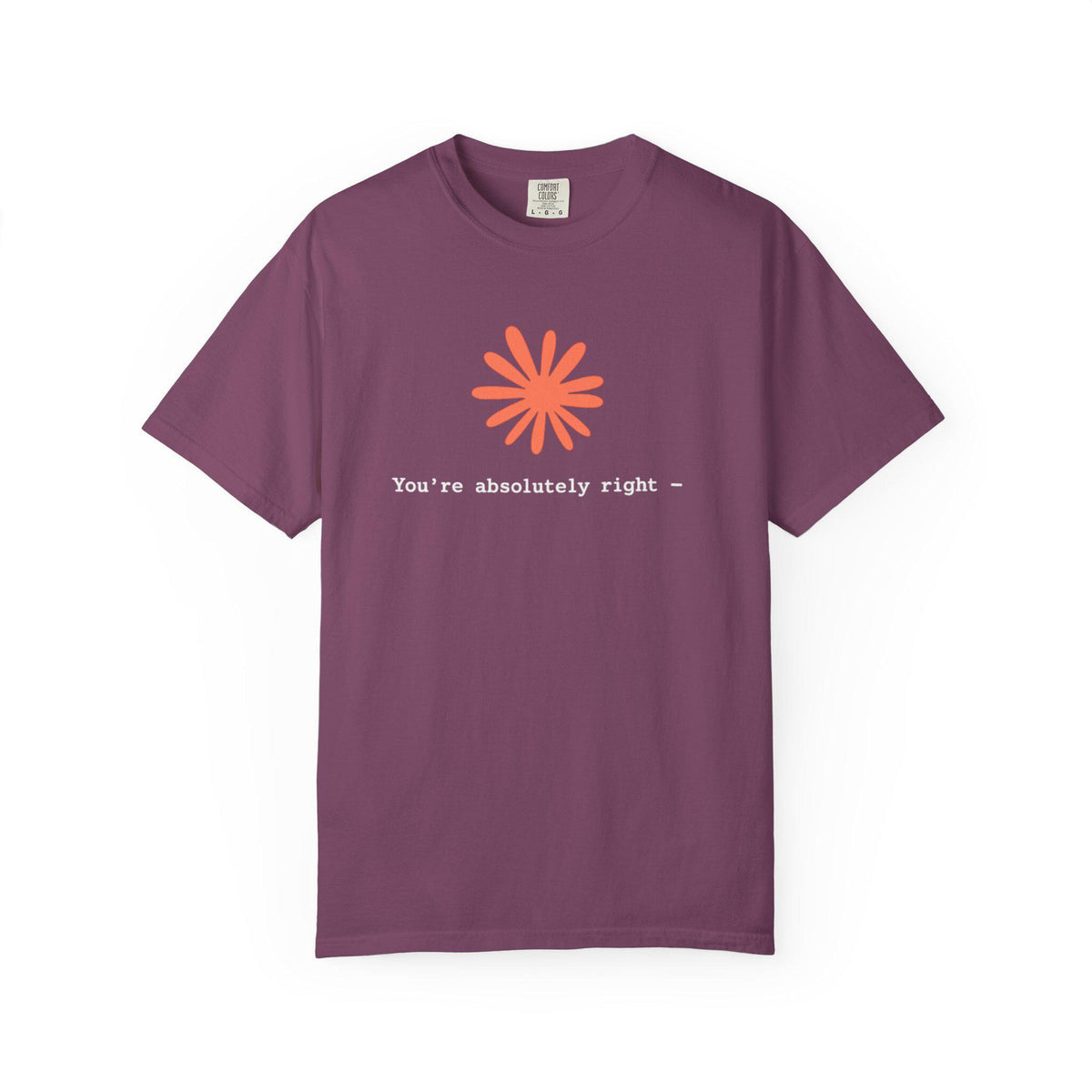 Funny Black T-Shirt You're Absolutely Right Novelty Tee Casual Graphic Shirt Minimalist Humor Gift for Men Women image 14