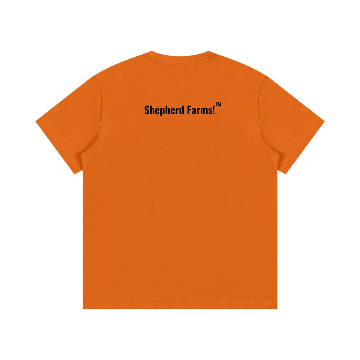 Essential Cotton T-Shirt image 2