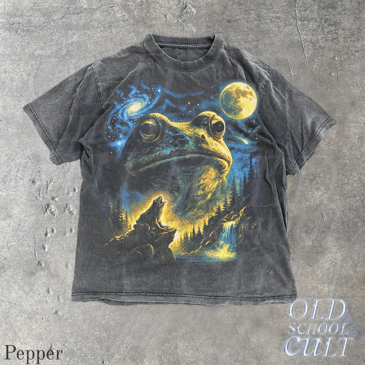 Vintage Frog 90s T Shirt, Cosmic Moon Graphic Tee, Washed Black Nature Shirt, Space Frog Gift, Mystical Forest Animal Art Tee image 2