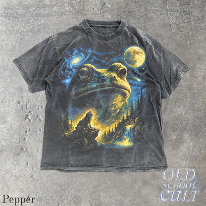 Vintage Frog 90s T Shirt, Cosmic Moon Graphic Tee, Washed Black Nature Shirt, Space Frog Gift, Mystical Forest Animal Art Tee image 2