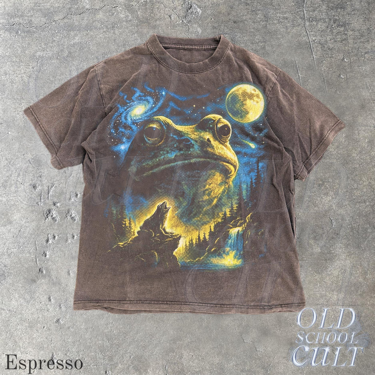 Vintage Frog 90s T Shirt, Cosmic Moon Graphic Tee, Washed Black Nature Shirt, Space Frog Gift, Mystical Forest Animal Art Tee Espresso