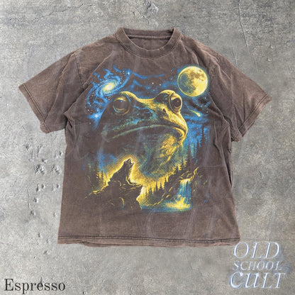 Vintage Frog 90s T Shirt, Cosmic Moon Graphic Tee, Washed Black Nature Shirt, Space Frog Gift, Mystical Forest Animal Art Tee Espresso