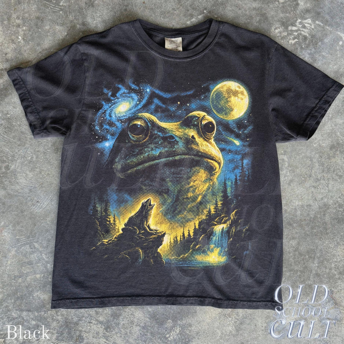 Vintage Frog 90s T Shirt, Cosmic Moon Graphic Tee, Washed Black Nature Shirt, Space Frog Gift, Mystical Forest Animal Art Tee image 7