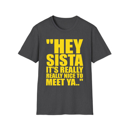 May include: A charcoal gray short-sleeved t-shirt featuring bold yellow text printed on the front that reads, "HEY SISTA IT'S REALLY REALLY NICE TO MEET YA.." The garment has a crew neckline and a standard fit, showcasing a simple design.