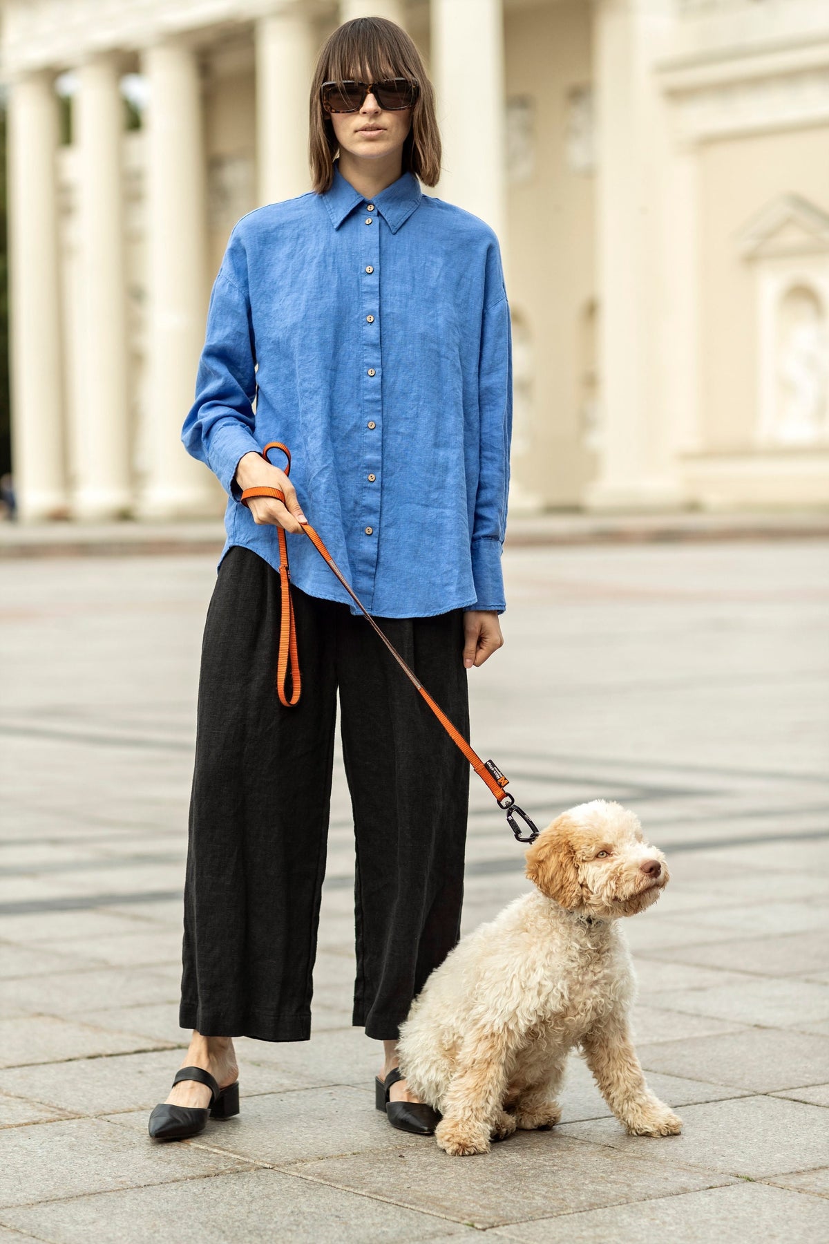 May include: A person wearing a blue button-down shirt and black pants, holding an orange dog leash attached to a small, cream-colored dog. The dog is sitting on a paved surface.