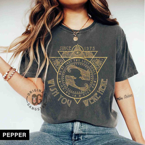 Wish You Were Here, Pink Band shirt, Comfort Colors Oversized Tee