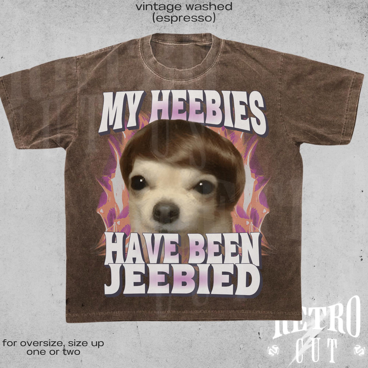 My Heebies Have Been Jeebied Shirt, Funny Meme T-Shirt, Retro Distressed Graphic Tee, Silly Gift for Men and Women, Weird Relatable Shirt