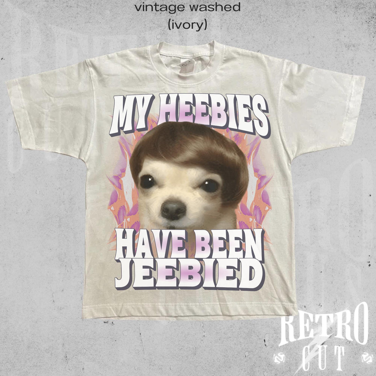 My Heebies Have Been Jeebied Shirt, Funny Meme T-Shirt, Retro Distressed Graphic Tee, Silly Gift for Men and Women, Weird Relatable Shirt