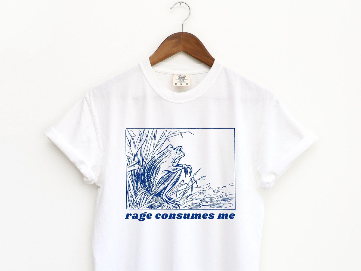 Rage consumes me shirt, Funny frog shirt, meme shirt, unhinged shirt, weird shirt, vsco, trendy comfort colors shirt, graphic unisex shirt