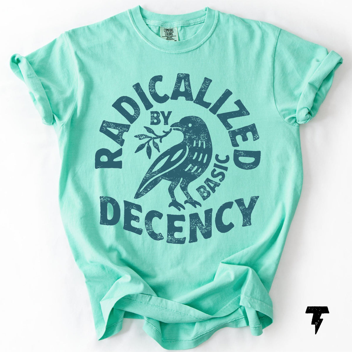 Radicalized By Basic Decency Comfort Colors T-shirt, Activist Tee