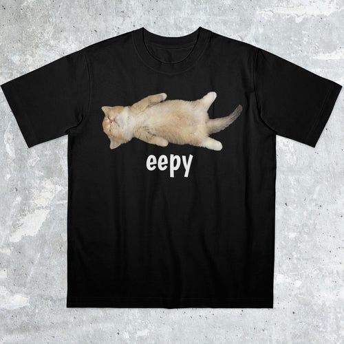 Eepy Cat, Silly Sleepy Cat Unhinged Sarcastic Humor Meme T-Shirt