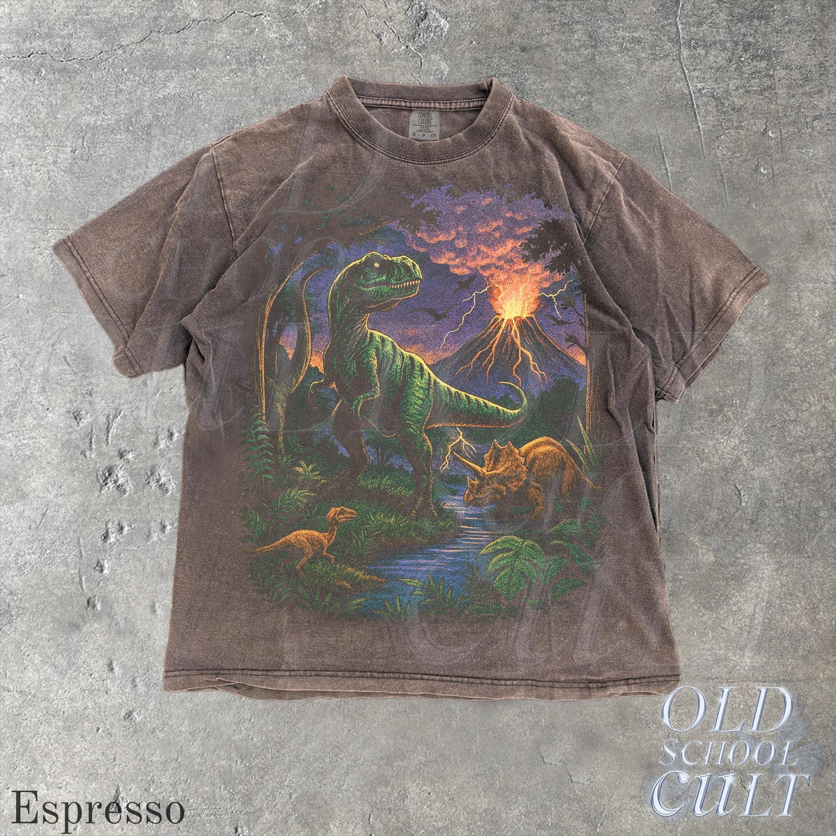 Vintage Jurassic Dinosaur 90s Graphic T-Shirt, Retro T-Rex & Triceratops Shirt, 90s Prehistoric Graphic Tee, Dino Top, Nostalgia Nature Gift