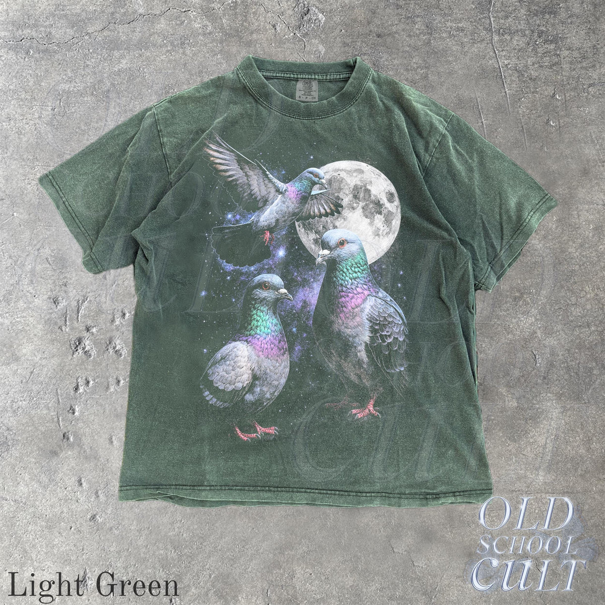 Three Pigeon Retro Graphic T-shirts, Vintage Pigeon Moon Tshirt, Bird Watching Lovers, Funny Brid Tee, Oversized Washed Tee, Silly Gift