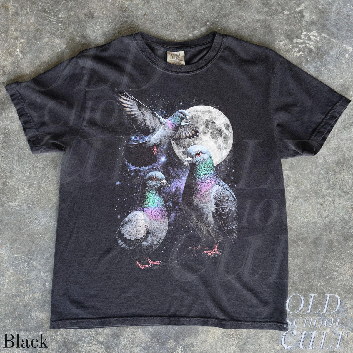 Three Pigeon Retro Graphic T-shirts, Vintage Pigeon Moon Tshirt, Bird Watching Lovers, Funny Brid Tee, Oversized Washed Tee, Silly Gift