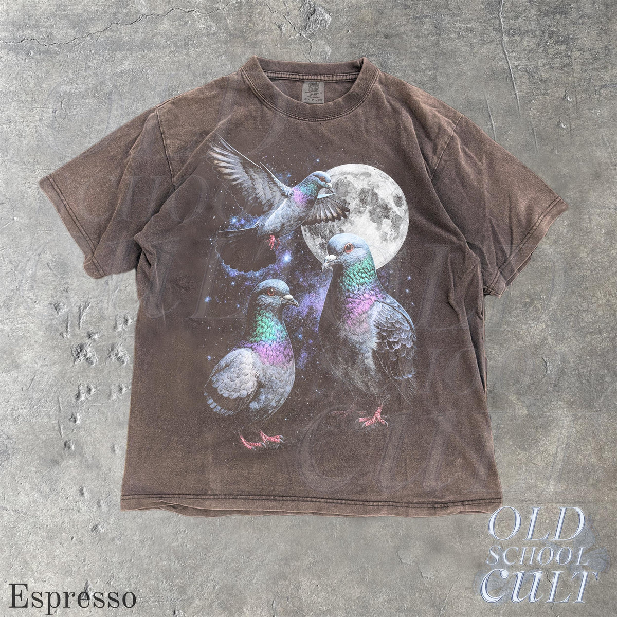 Three Pigeon Retro Graphic T-shirts, Vintage Pigeon Moon Tshirt, Bird Watching Lovers, Funny Brid Tee, Oversized Washed Tee, Silly Gift