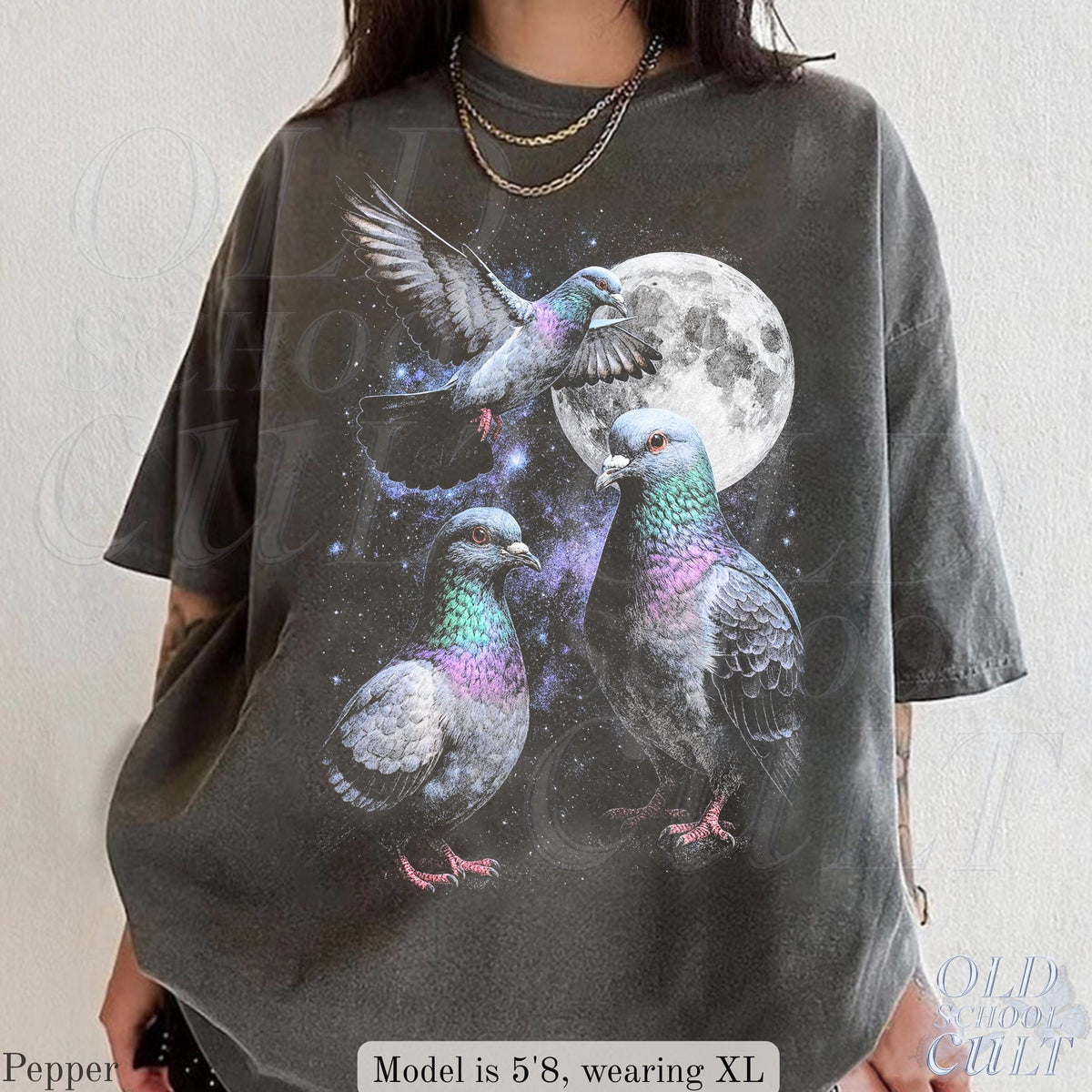 Three Pigeon Retro Graphic T-shirts, Vintage Pigeon Moon Tshirt, Bird Watching Lovers, Funny Brid Tee, Oversized Washed Tee, Silly Gift