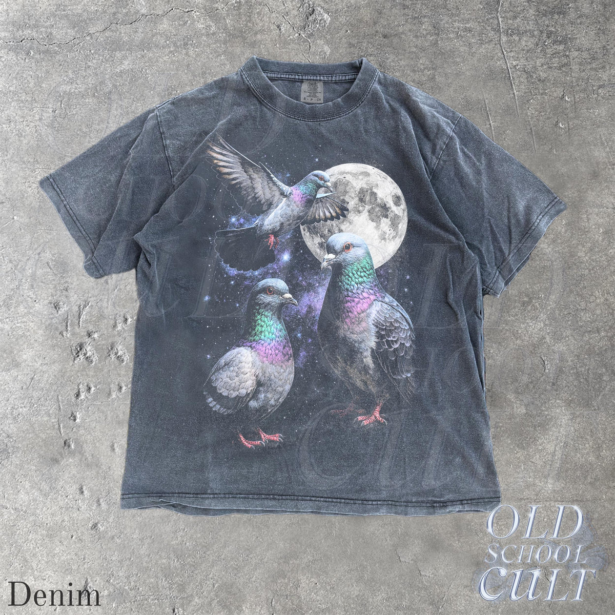 Three Pigeon Retro Graphic T-shirts, Vintage Pigeon Moon Tshirt, Bird Watching Lovers, Funny Brid Tee, Oversized Washed Tee, Silly Gift