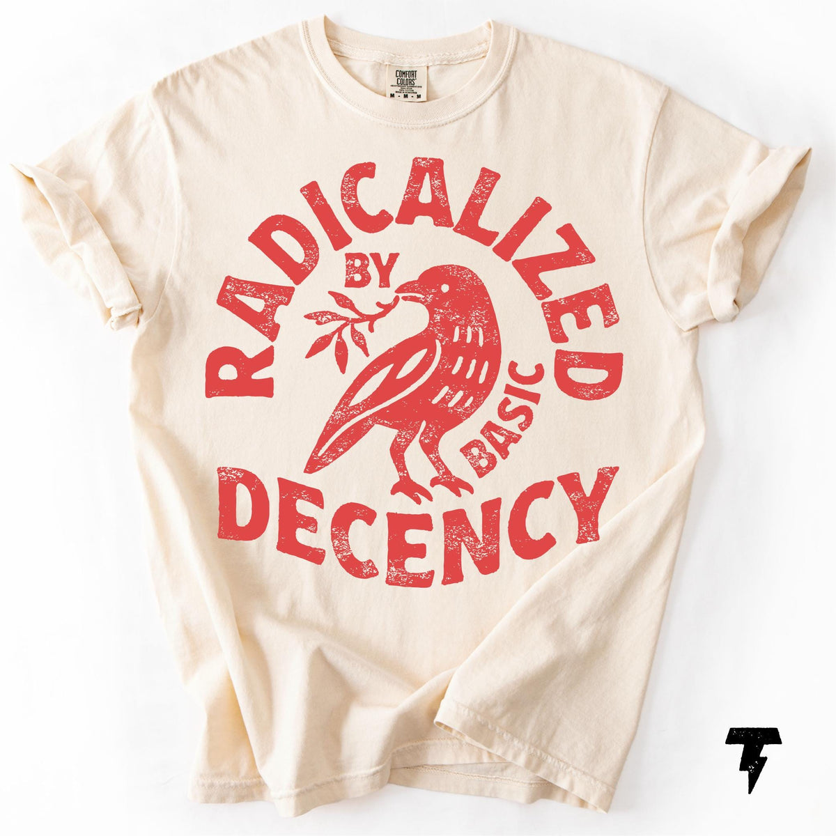 Radicalized By Basic Decency Comfort Colors T-shirt, Activist Tee