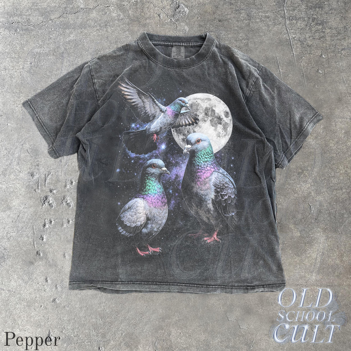 Three Pigeon Retro Graphic T-shirts, Vintage Pigeon Moon Tshirt, Bird Watching Lovers, Funny Brid Tee, Oversized Washed Tee, Silly Gift