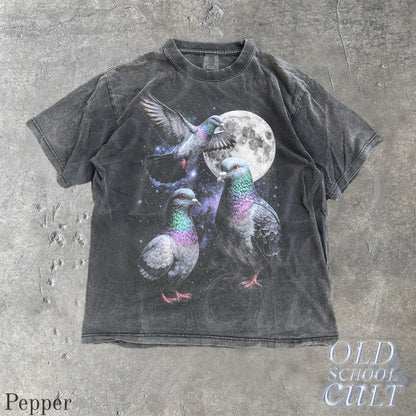 Three Pigeon Retro Graphic T-shirts, Vintage Pigeon Moon Tshirt, Bird Watching Lovers, Funny Brid Tee, Oversized Washed Tee, Silly Gift