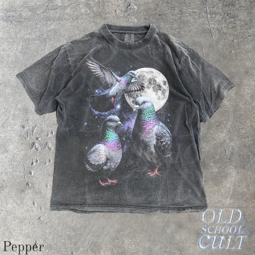 Three Pigeon Retro Graphic T-shirts, Vintage Pigeon Moon Tshirt, Bird Watching Lovers, Funny Brid Tee, Oversized Washed Tee, Silly Gift