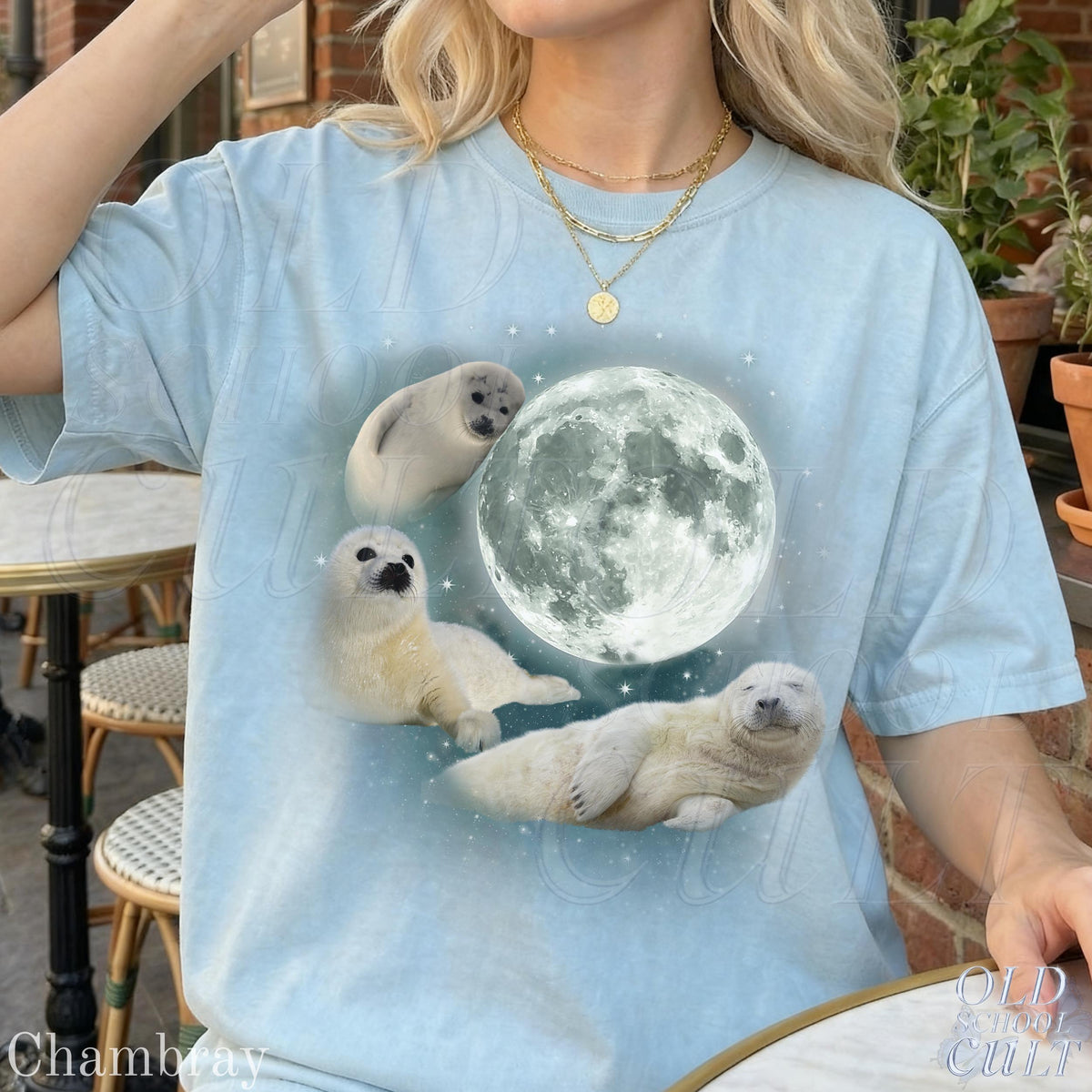 Three Baby Seal Vintage Graphic T-shirts, Retro Sea Dog Moon Tshirt, Seal Lovers, Cute Sea Dog Tee, Relaxed Washed Adult Tee, Fun Gifts