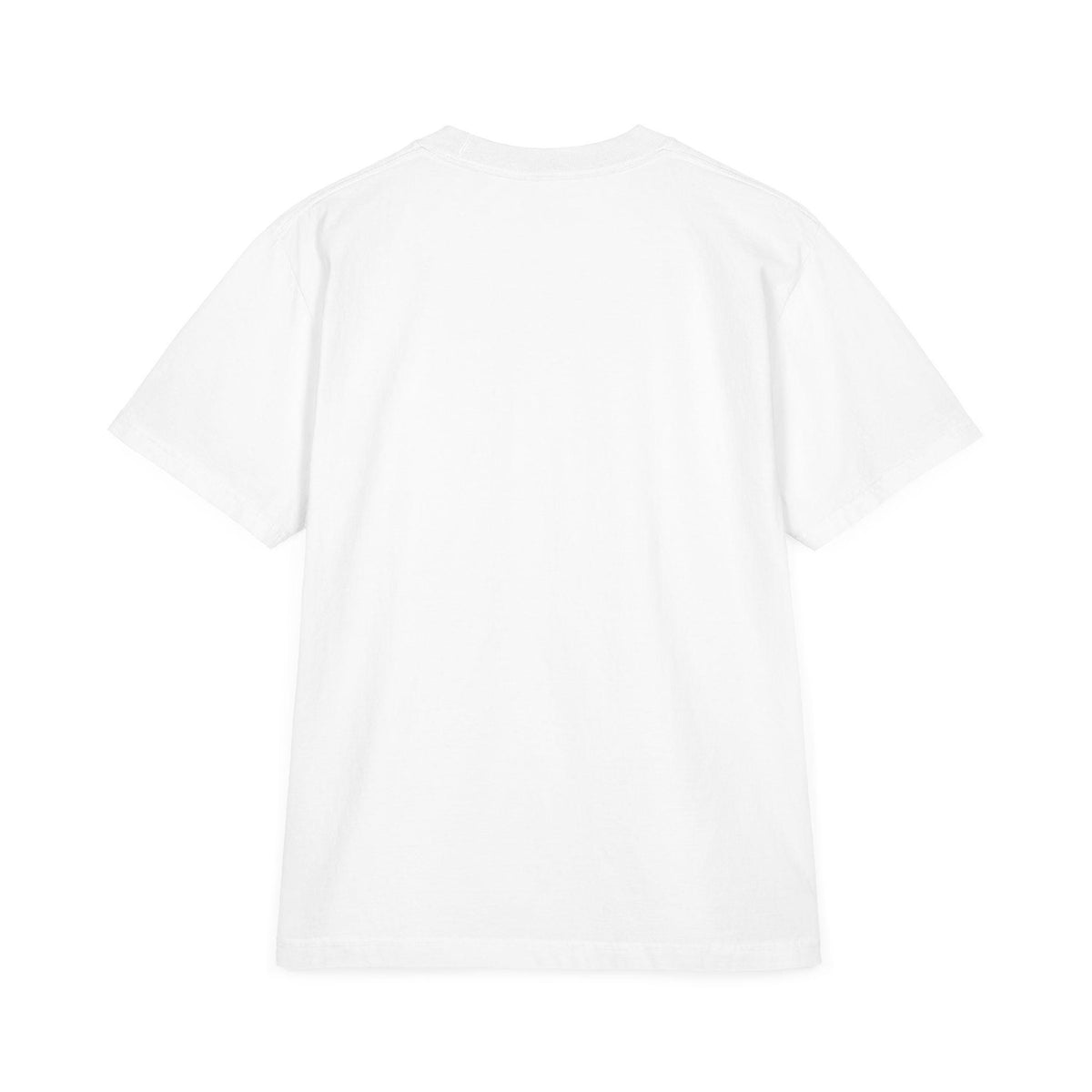 Park Ducks Tee