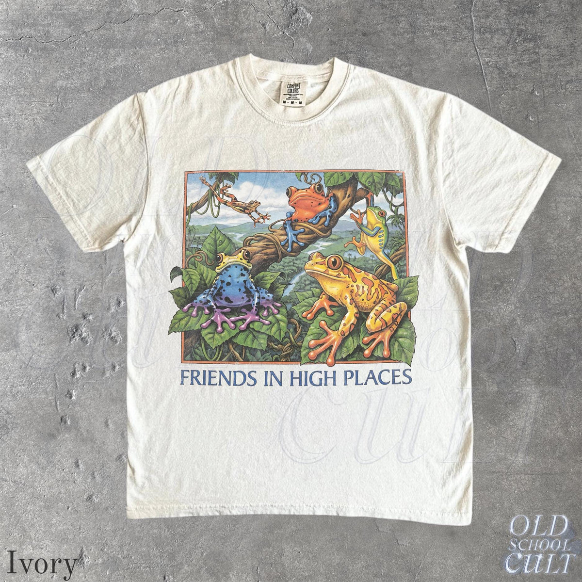Friends in High Places Frog 90s Shirt, Colorful Tree Frog Graphic Tee, Poison Dart Frog Lover Gift, Amphibian Nature Herpetology T-Shirt