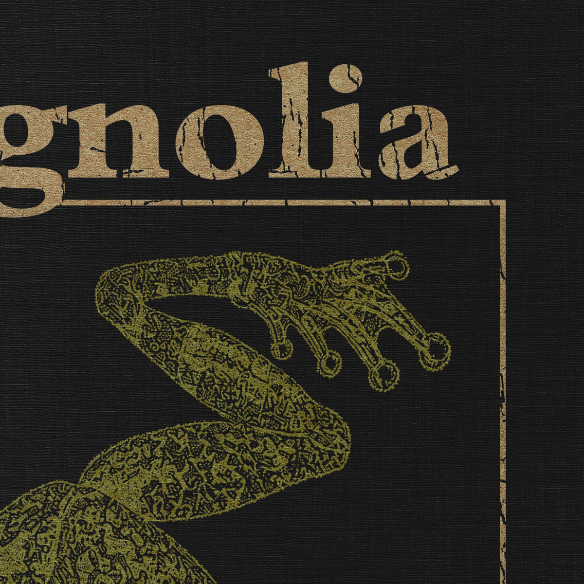 Magnolia Frog Rain Graphic T-shirt | Surreal Arthouse Movie Tee