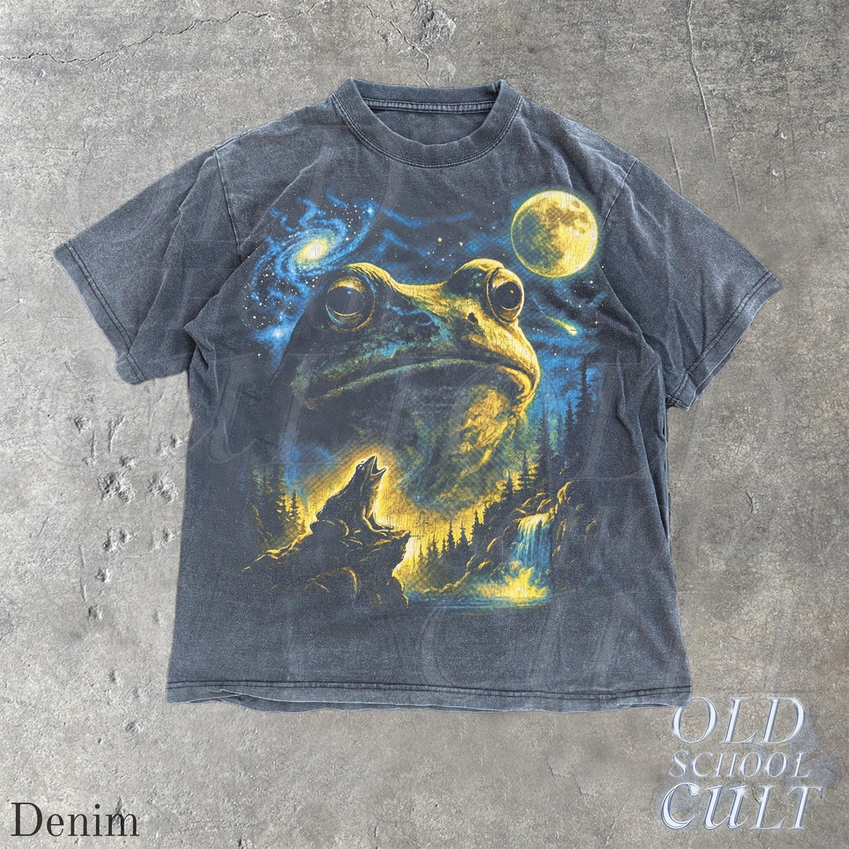 Vintage Frog 90s T Shirt, Cosmic Moon Graphic Tee, Washed Black Nature Shirt, Space Frog Gift, Mystical Forest Animal Art Tee