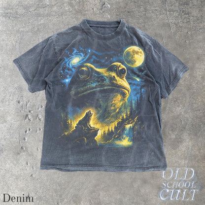 Vintage Frog 90s T Shirt, Cosmic Moon Graphic Tee, Washed Black Nature Shirt, Space Frog Gift, Mystical Forest Animal Art Tee