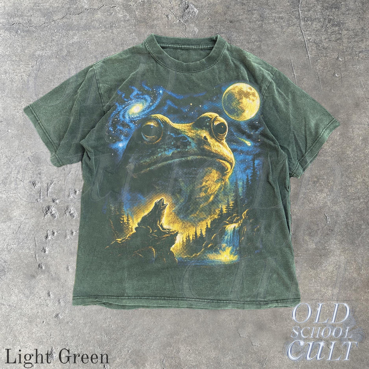 Vintage Frog 90s T Shirt, Cosmic Moon Graphic Tee, Washed Black Nature Shirt, Space Frog Gift, Mystical Forest Animal Art Tee
